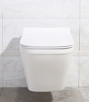 Унитаз подвесной Belbagno "DORY" безободк. без сид. (ВB522ACHR)