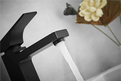 Смеситель д/раковины ROSE черный R1001H-1